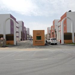 Entrance Gates001 (8)